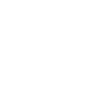 The Halal Guys
